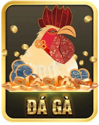 Đá gà